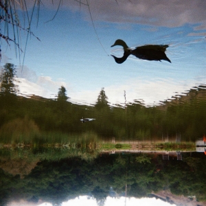 Tomu Dj - Antagonist i gruppen VINYL / Kommende / Pop-Rock hos Bengans Skivbutik AB (5664312)