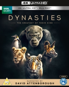 Movie - Dynasties i gruppen Film / Film UHD-4K hos Bengans Skivbutik AB (5664404)