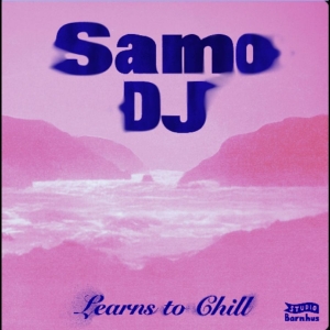 Samo Dj - Learns To Chill i gruppen VINYL / Kommende / Pop-Rock hos Bengans Skivbutik AB (5664645)
