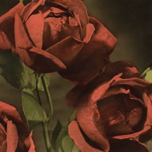 Cindy - Another Country i gruppen VINYL / Kommende / Pop-Rock hos Bengans Skivbutik AB (5665022)