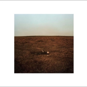 Fink - The City Coming To Erase It All i gruppen VINYL / Kommende / Pop-Rock hos Bengans Skivbutik AB (5665250)