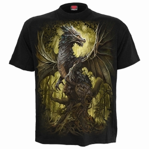 Spiral - Oak Dragon - T-Shirt i gruppen MERCHANDISE / T-shirt / Nyheter / Annet hos Bengans Skivbutik AB (5667038r)