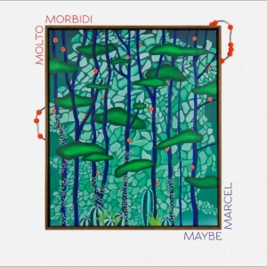 Molto Morbidi - Maybe Marcel i gruppen VINYL / Kommende / Pop-Rock hos Bengans Skivbutik AB (5667646)