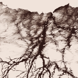 Ylva Ceder - Tree Vibrations i gruppen VINYL / Nyheter / Svensk Musikkk hos Bengans Skivbutik AB (5667832)