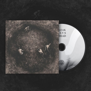 Pure Wrath - Bleak Days Ahead (Digipack) i gruppen CD / Kommende / Metal hos Bengans Skivbutik AB (5667909)