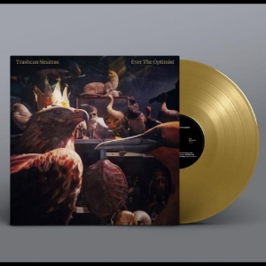 Trashcan Sinatras - Ever The Optimist i gruppen VINYL / Kommende / World Music hos Bengans Skivbutik AB (5667980)