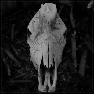 Worsen - Cursed To Witness Life (Vinyl Lp) i gruppen VINYL / Nyheter / Metal hos Bengans Skivbutik AB (5668028)