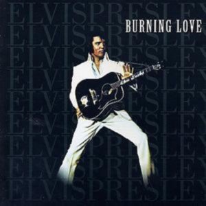 Elvis Presley - Burning Love i gruppen CD / Pop-Rock hos Bengans Skivbutik AB (5668837)