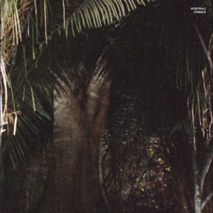 Acid Pauli - Urwald i gruppen VINYL / Kommende / Pop-Rock hos Bengans Skivbutik AB (5669074)