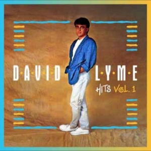 Lyme David - Hits E.P. Vol. 1 i gruppen VINYL / Kommende / Pop-Rock hos Bengans Skivbutik AB (5669113)