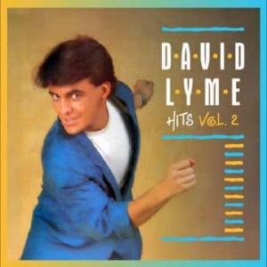 Lyme David - Hits E.P. Vol. 2 i gruppen VINYL / Kommende / Pop-Rock hos Bengans Skivbutik AB (5669114)