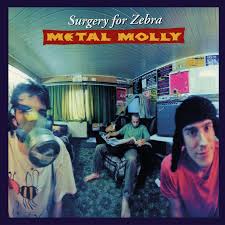 Metal Molly - Surgery For Zebra i gruppen VI TIPSER / Fredagsutgivelser / 2026-05-29 hos Bengans Skivbutik AB (5669187)
