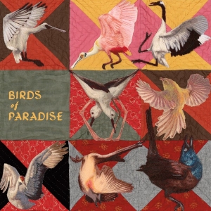 Thomas Dollbaum - Birds Of Paradise (Ltd. Roseate Spo i gruppen VINYL / Kommende / World Music hos Bengans Skivbutik AB (5669362)