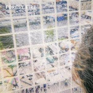 Forest Fire - Staring At The X i gruppen CD / Pop-Rock hos Bengans Skivbutik AB (5669408)