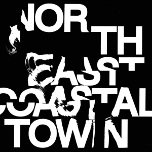 Life - North East Coastal Town i gruppen VINYL / Kommende / Pop-Rock hos Bengans Skivbutik AB (5669423)