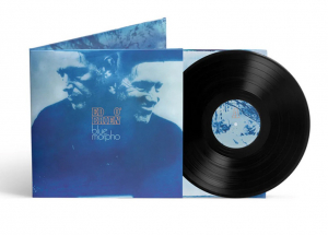 Ed O'brien - Blue Morpho i gruppen VINYL / Pop-Rock hos Bengans Skivbutik AB (5669448)