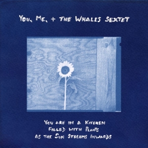 You Me + The Whales Sextet - You Are In A Kitchen Filled With Pl i gruppen VINYL / Kommende / Jazz hos Bengans Skivbutik AB (5669706)