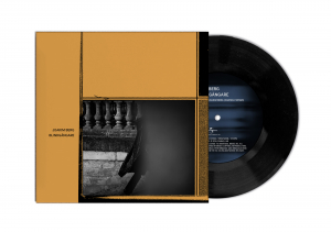 Joakim Berg - Blindgångare i gruppen VI TIPSER / Record Store Day / RSD 2026 hos Bengans Skivbutik AB (5669847)