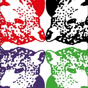 Tiger & Woods - Through The Green i gruppen VINYL / Kommende / Pop-Rock hos Bengans Skivbutik AB (5670066)