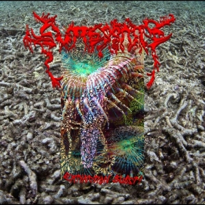 Guttersnipe - Extinction Burst! i gruppen VINYL / Kommende / Pop-Rock,Punk,Svensk Musikkk hos Bengans Skivbutik AB (5670073)