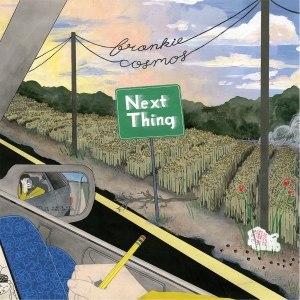 Frankie Cosmos - Next Thing (10Th Anniversary Editio i gruppen VINYL / Nyheter / Pop-Rock hos Bengans Skivbutik AB (5670454)