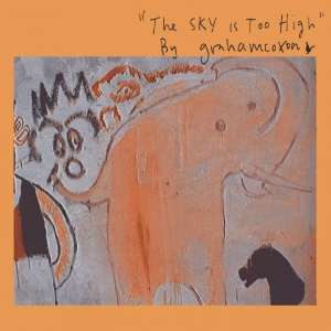 Graham Coxon - The Sky Is Too High i gruppen VINYL / Kommende / Pop-Rock hos Bengans Skivbutik AB (5670932)
