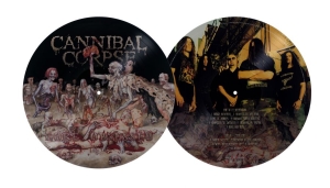 Cannibal Corpse - Gore Obsessed (Picture Disc Vinyl L i gruppen VINYL / Kommende / Metal hos Bengans Skivbutik AB (5671326)