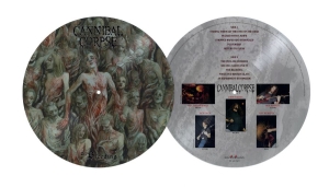 Cannibal Corpse - Bleeding The (Picture Disc Vinyl Lp i gruppen VINYL / Kommende / Metal hos Bengans Skivbutik AB (5671330)