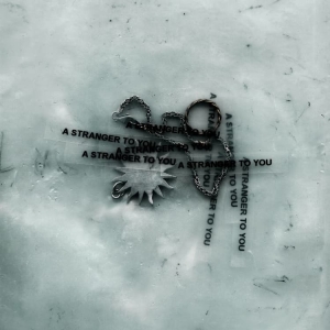 Loathe - A Stranger To You i gruppen VINYL / Kommende / Metal hos Bengans Skivbutik AB (5671342)