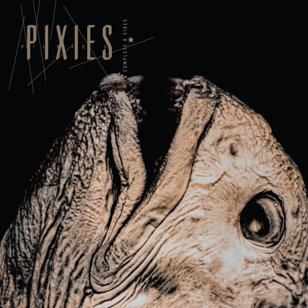 Pixies - Complete B Sides: 1988-97 i gruppen VI TIPSER / Fredagsutgivelser / 2026-06-26 hos Bengans Skivbutik AB (5671426)