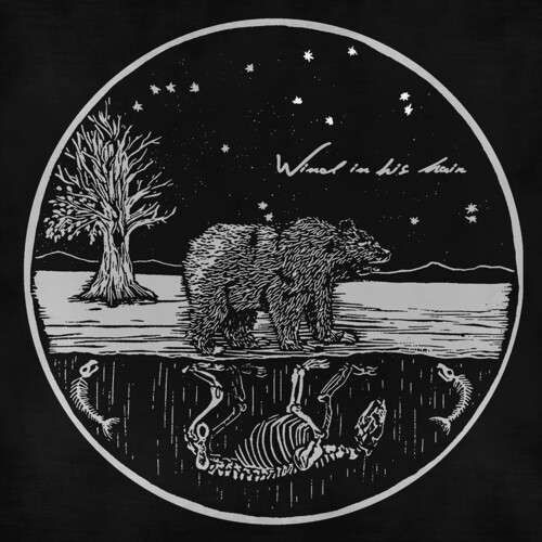Wind In His Hair - Future Primitives i gruppen VINYL / Toppselgere hos Bengans Skivbutik AB (5672422)