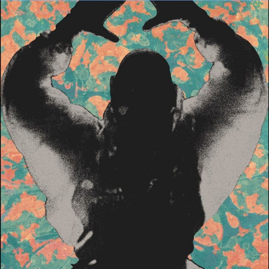 Startled Insects - The Antenna Years i gruppen VINYL / Kommende / Pop-Rock hos Bengans Skivbutik AB (5673092)