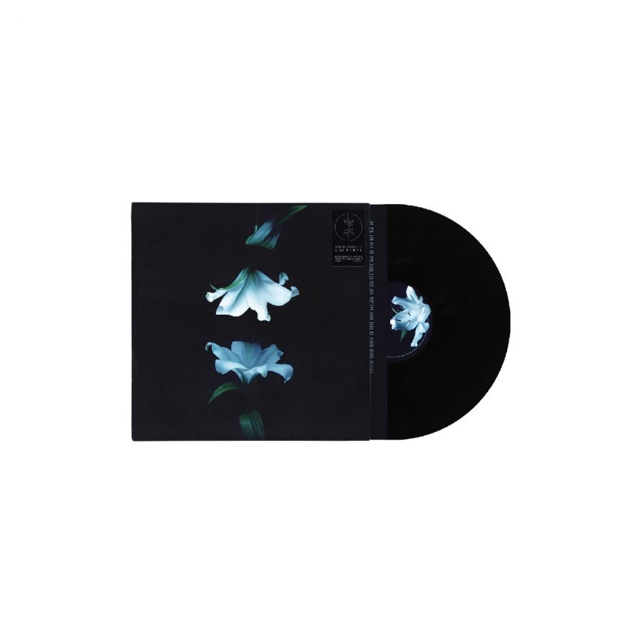 Wasia Project - Nocturne i gruppen VINYL / Kommende / Pop-Rock hos Bengans Skivbutik AB (5673117)