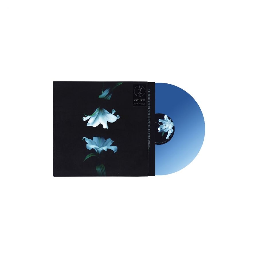 Wasia Project - Nocturne (Indies Exclusive Blue Vin i gruppen VINYL / Kommende / Pop-Rock hos Bengans Skivbutik AB (5673118)
