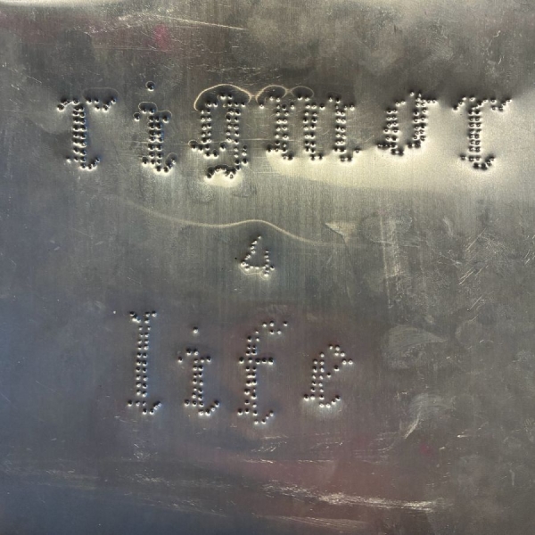 Rigmor - 4 Life i gruppen VINYL / Kommende / Pop-Rock hos Bengans Skivbutik AB (5673406)