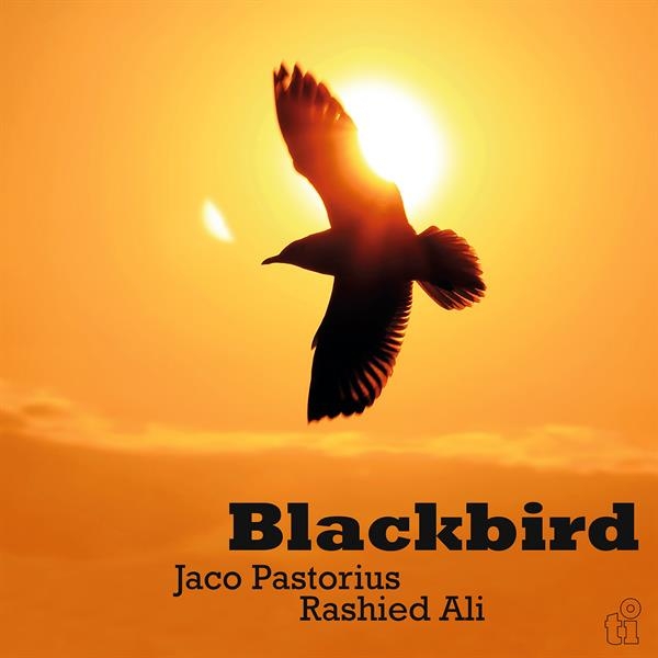 Jaco Pastorius & Rashied Ali - Blackbird i gruppen VINYL / Kommende / Pop-Rock hos Bengans Skivbutik AB (5675105)