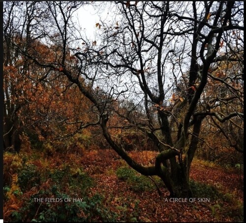 The Fields Of Hay - A Circle Of Skin i gruppen CD / Pop-Rock hos Bengans Skivbutik AB (5675255)