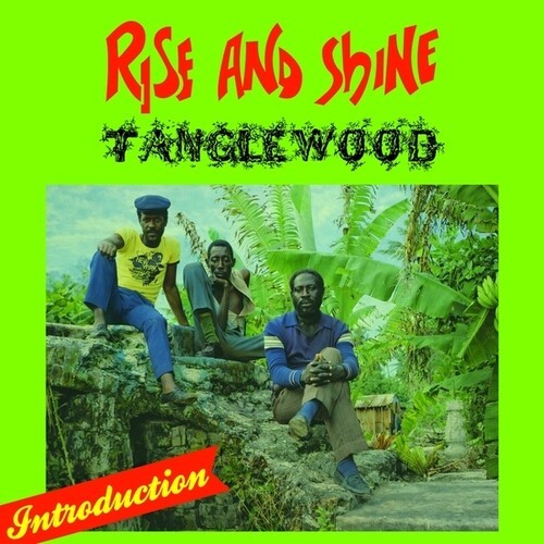 Tanglewood - Rise And Shine i gruppen VINYL / Toppselgere hos Bengans Skivbutik AB (5678047)