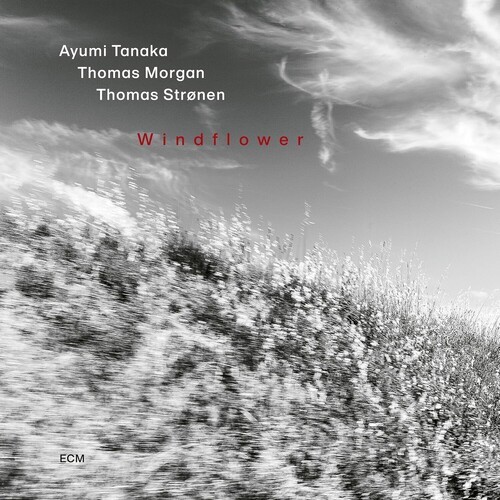 Ayumi Tanaka Thomas Morgan Thomas - Windflower i gruppen VI TIPSER / Fredagsutgivelser / 2026-08-21 hos Bengans Skivbutik AB (5678178)