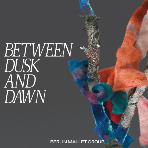 Taiko Saito - Between Dusk And Dawn i gruppen CD / Kommende / Metal hos Bengans Skivbutik AB (5678233)
