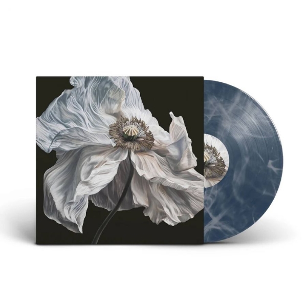 Quicksand - Bring On The Psychics i gruppen VINYL / Kommende / Pop-Rock hos Bengans Skivbutik AB (5678301)