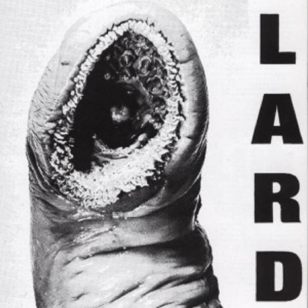 Lard - The Power Of Lard i gruppen VINYL / Pop-Rock hos Bengans Skivbutik AB (5678481)