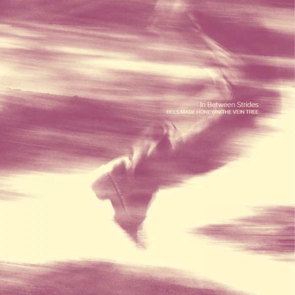 Bees Made Honey In The Vein Tree - In Between Strides (Digisleeve) i gruppen CD / Kommende / Metal hos Bengans Skivbutik AB (5678862)