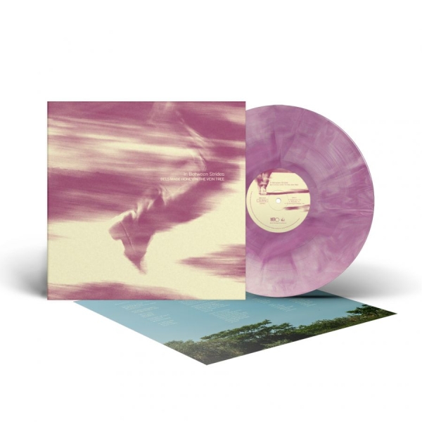 Bees Made Honey In The Vein Tree - In Between Strides (Galaxy Vinyl Lp i gruppen VINYL / Kommende / Metal hos Bengans Skivbutik AB (5678863)