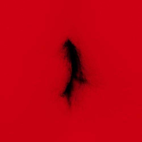 Dingwei - Untied i gruppen VINYL / Pop-Rock hos Bengans Skivbutik AB (5679696)