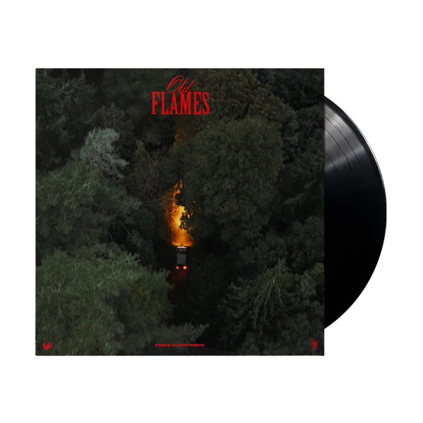 La Roux - Old Flames i gruppen VINYL / Kommende / Pop-Rock hos Bengans Skivbutik AB (5680175)