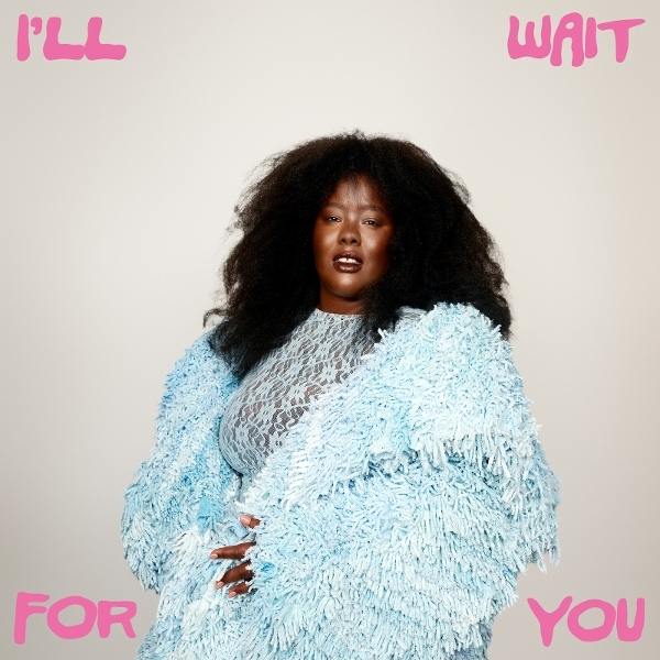Nnavy - I'll Wait For You i gruppen VINYL / Kommende / Pop-Rock hos Bengans Skivbutik AB (5680230)