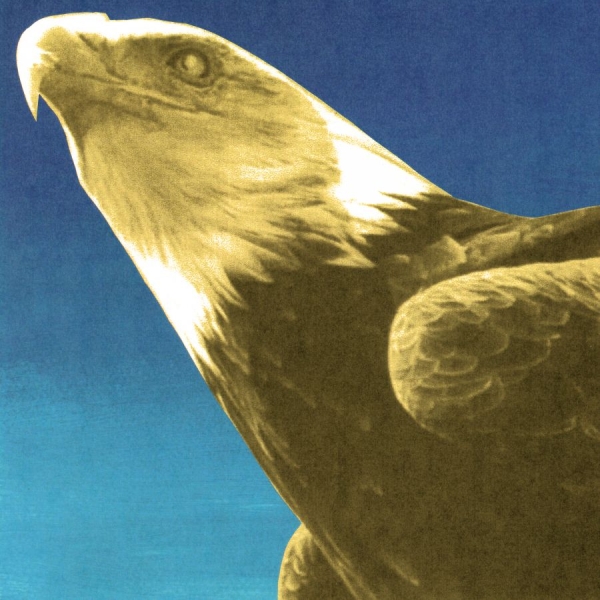 Protomartyr - Hotel Usona i gruppen VINYL / Kommende / Pop-Rock hos Bengans Skivbutik AB (5680267)