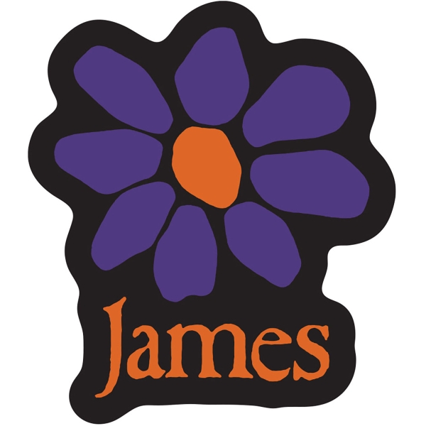 James - Orange Logo Purple Daisy Sticker i gruppen MERCHANDISE / Merch / Kommende / Pop-Rock hos Bengans Skivbutik AB (5680924)
