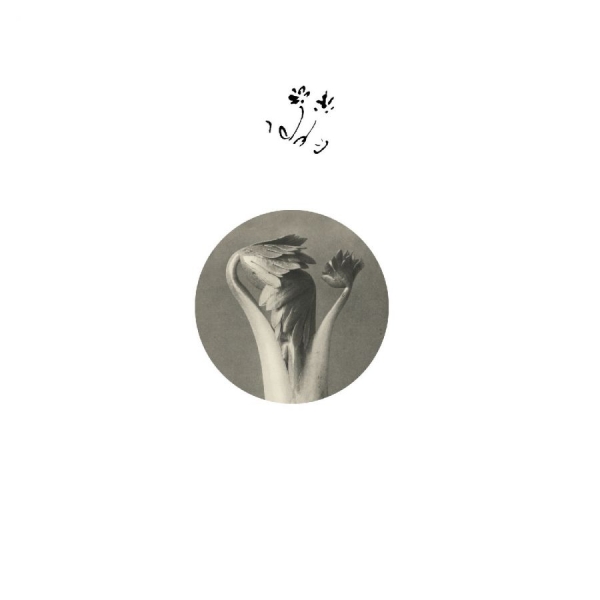 Returning Sweetness (Eversines) - Longevity Eyebrow i gruppen VINYL / Kommende / Pop-Rock hos Bengans Skivbutik AB (5681481)